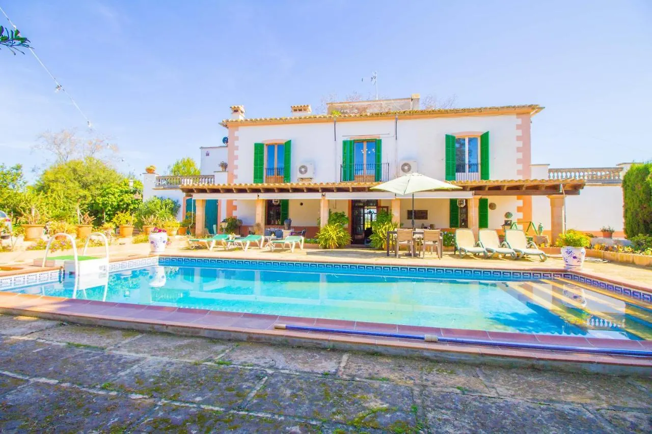 Son Prunes By North Properties Mallorca contacts